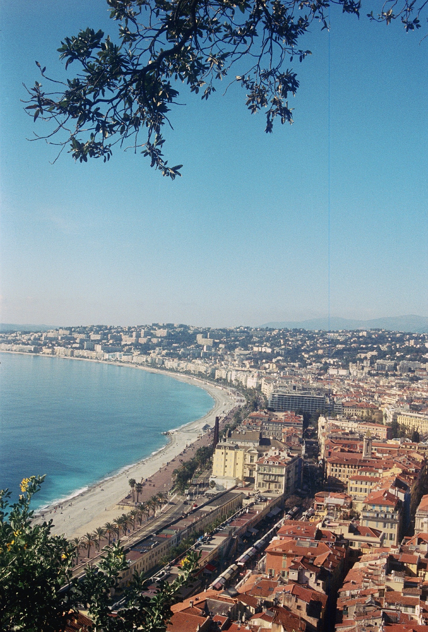 The Whole Bay in One Breath